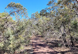 Craigie Bushland