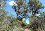 Craigie Bushland