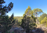 Craigie Bushland