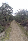 Lightning Swamp Bushland