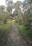 Lightning Swamp Bushland