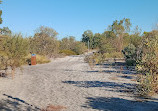 Lightning Swamp Bushland