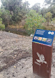 Lightning Swamp Bushland