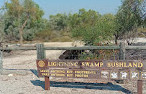 Lightning Swamp Bushland