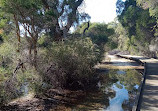 Lightning Swamp Bushland