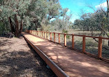 Lightning Swamp Bushland