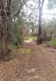 Lightning Swamp Bushland