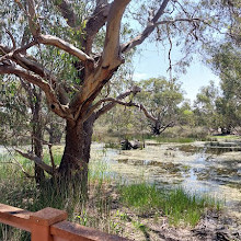 Lightning Swamp Bushland