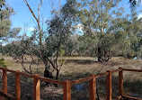 Lightning Swamp Bushland