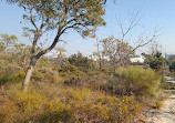 Lightning Swamp Bushland