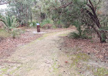 Lightning Swamp Bushland