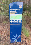 Lightning Swamp Bushland