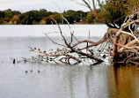 Lake Monger Reserve