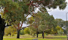 Lake Monger Reserve