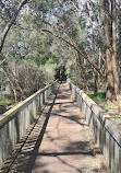 Lake Monger Reserve