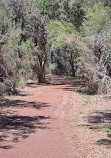 Lake Monger Reserve