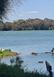 Lake Monger Reserve