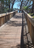 Lake Monger Reserve