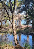 Lake Monger Reserve