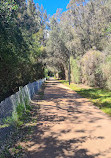 Lake Monger Reserve