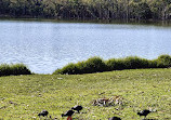 Lake Monger Reserve