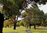 Lake Monger Reserve