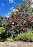 Abbey Gardens