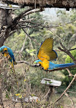 Chandigarh Bird Park