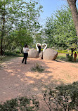 Chandigarh Bird Park