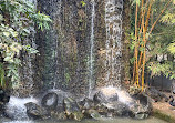 Chandigarh Bird Park