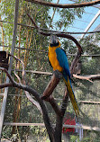 Chandigarh Bird Park