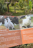 Chandigarh Bird Park