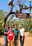 Chandigarh Bird Park