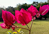 Butterfly Park