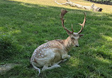 Zoo and garden Fasanerie