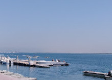 Fish Roundabout, Umm Al Quawain