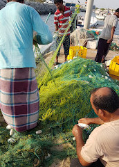 Rond-point du poisson, Umm Al Quawain