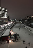 Rideau Canal Skateway