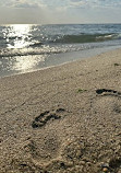 Edward Street Beach