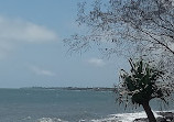 South Head Parklands