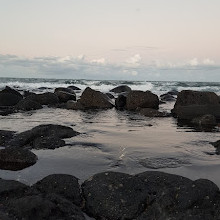 Coral Reef Park