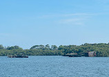 Shipwreck Lookout