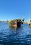 Shipwreck Lookout