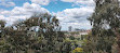 Canning Reserve Lookout