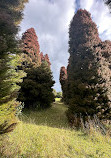 Woolrich Lookout