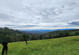 Woolrich Lookout