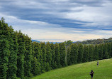 Woolrich Lookout