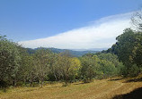 Woolrich Lookout