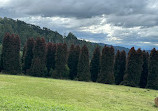 Woolrich Lookout