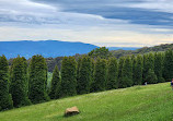 Woolrich Lookout